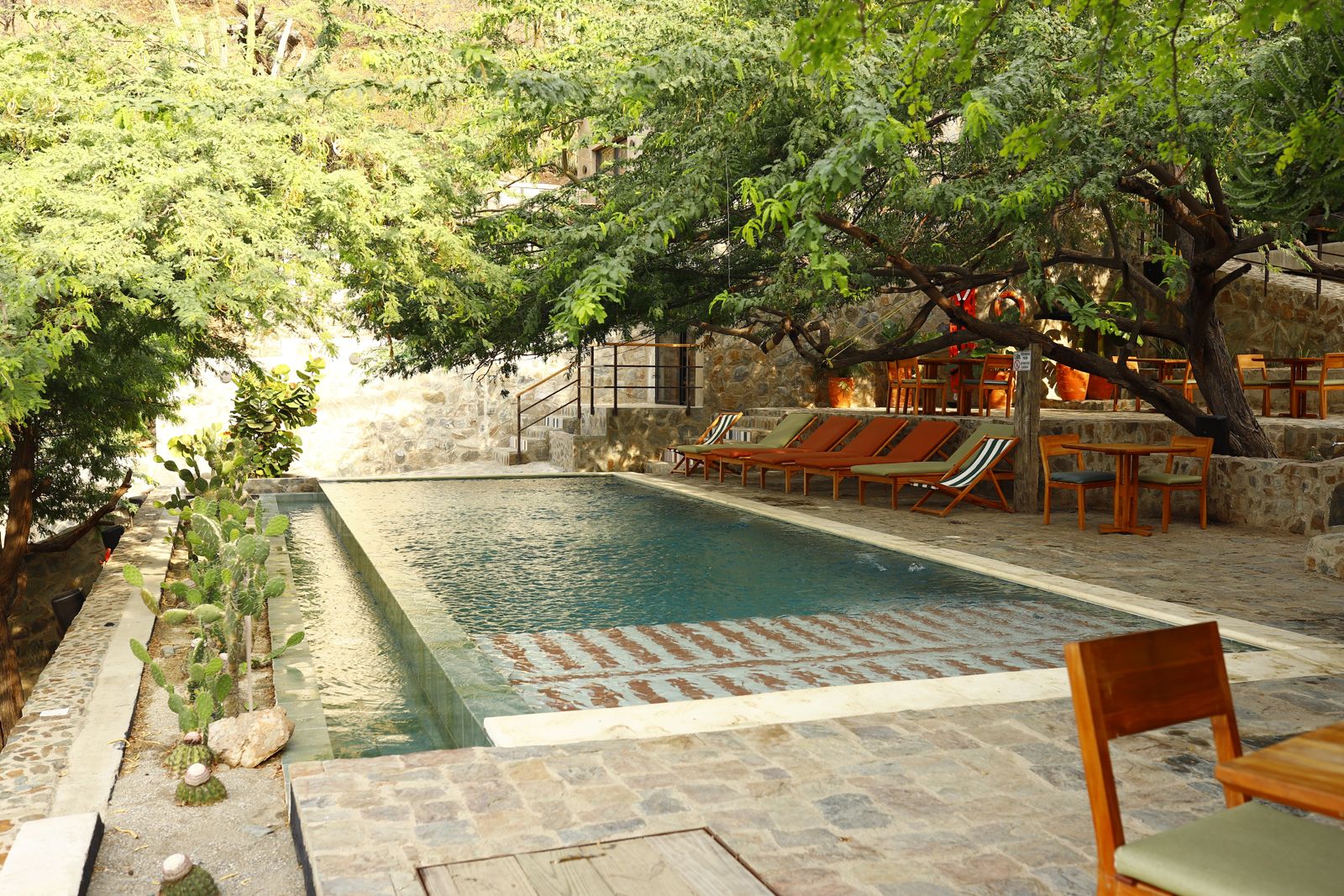 Piscina de Perla Roca bajo los árboles