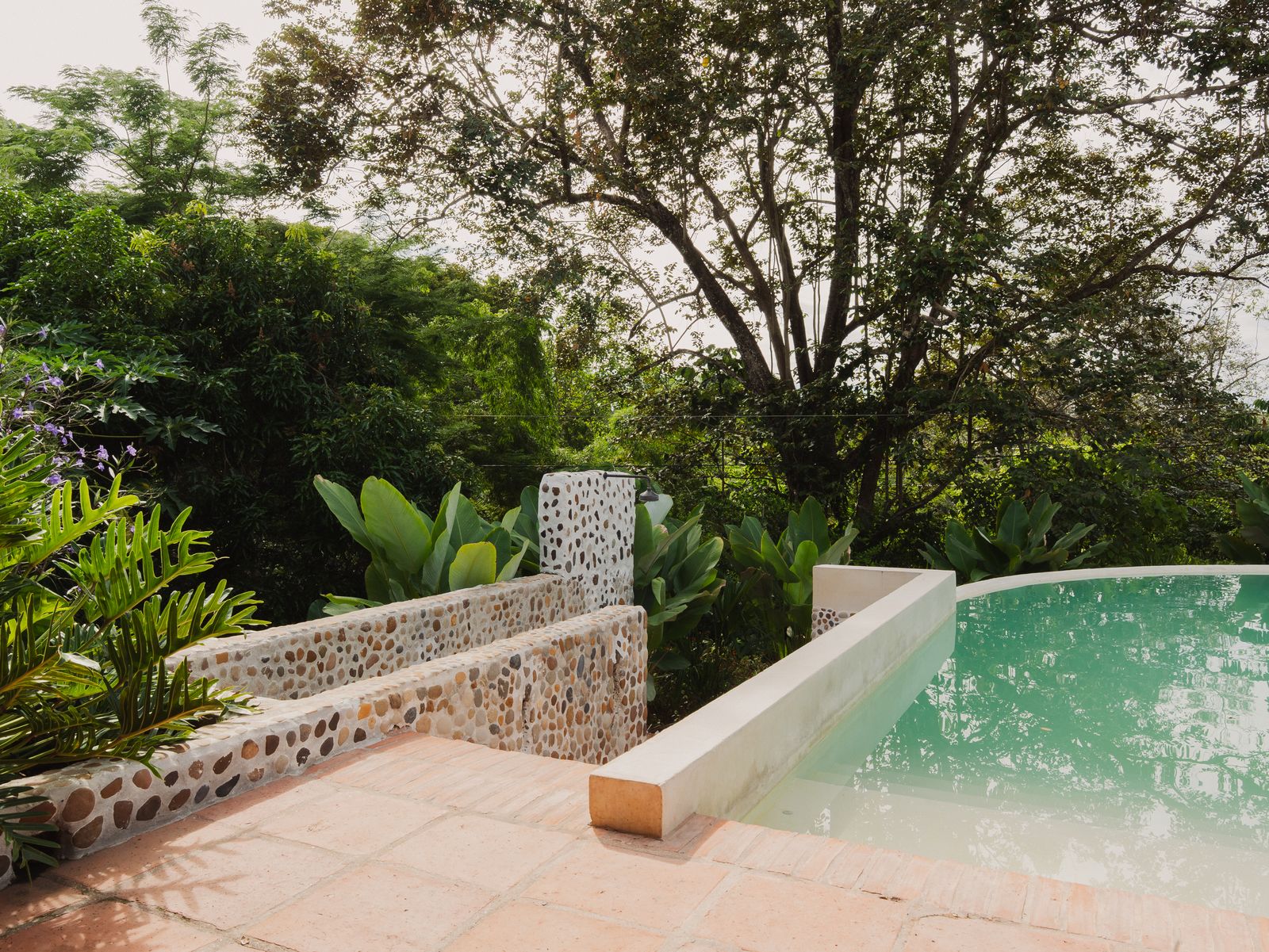 Piscina infinita de Sandagua rodeada de verde